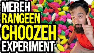 🐔 Raising Baby Chickens - Teaching My Kids How To Make Money / How To Earn Money (BUSINESS IDEA) The Best Scale To Start Chicken Farming Azad Chaiwala