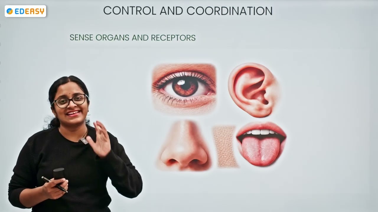 ONE SHOT 2026 CBSE 10 BIOLOGY CONTROL AND COORDINATION