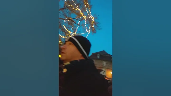 christmas  market  COLMAR france part. 5