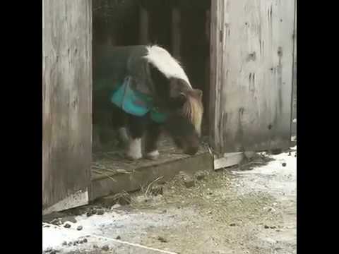 What Facing Your Fears Looks Like 