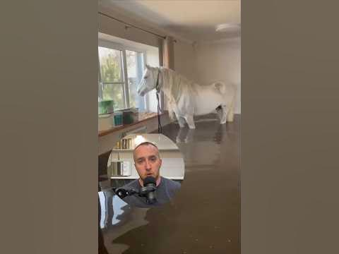 Конь на балконе - YouTube