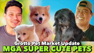 MGA MURA AT NAGGAGANDAHANG PETS SA GROTTO | MAY 12, 2024