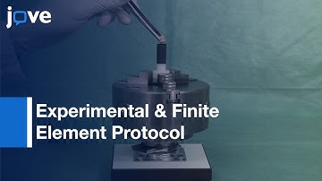 Investigate Transport Of Neutral & Charged Solutes Across Articular Cartilage l Protocol Preview