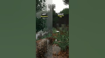Minecraft Shaders: NostalgiaVX or SEUS? #shorts