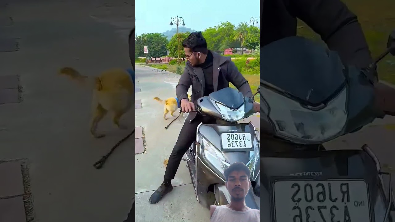 मेरा डॉग क्या लाने के लिए जा रहा था घर पर😱 #funnydogs #shorts