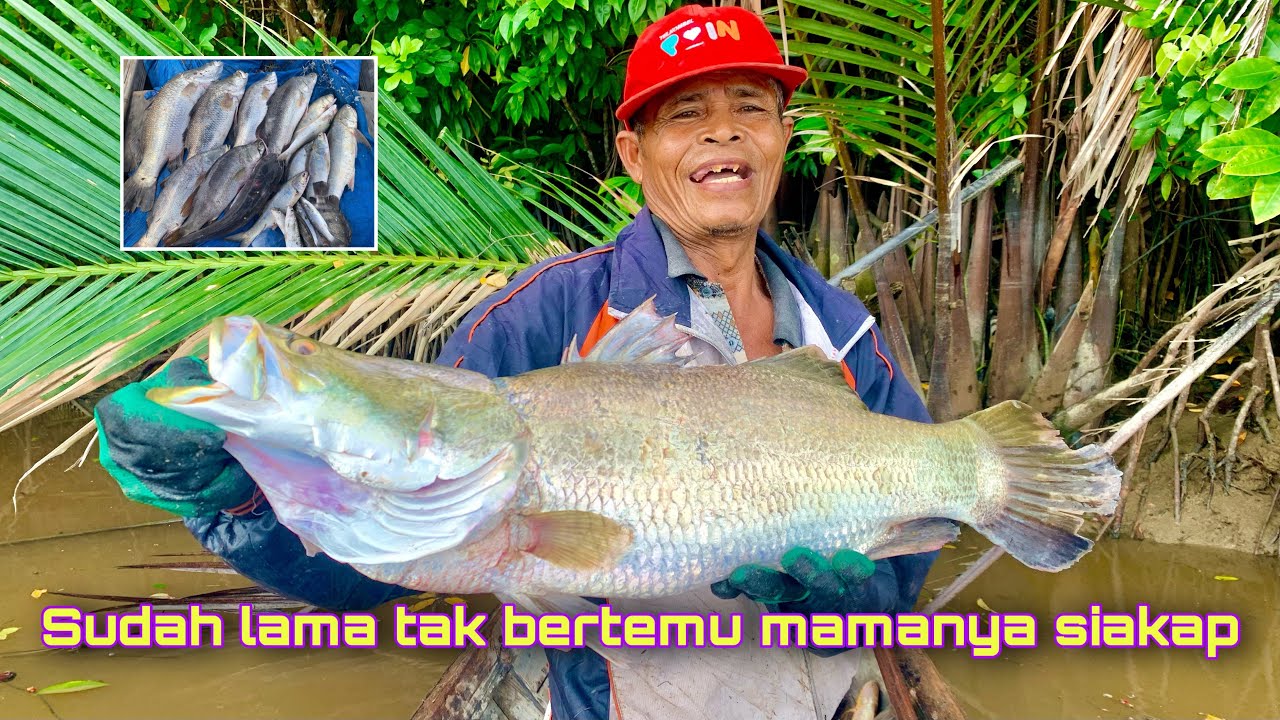 AKIBAT LAMA TAK DI PASANG JARING 6 iNCI‼️ luar biasa...