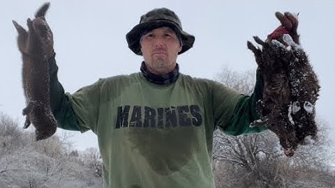 Mink catch at cubby set