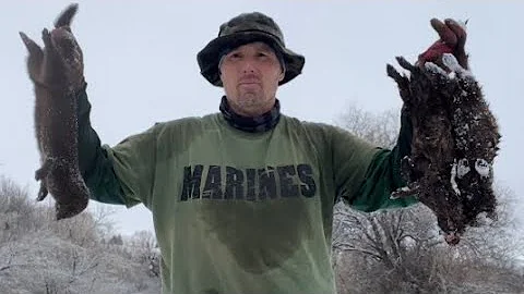 Mink catch at cubby set