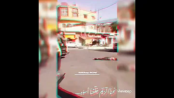 بني معروف 