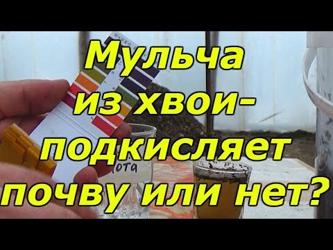 Видео: Информация о мульче из кипариса - плюсы и минусы садовой мульчи из кипариса