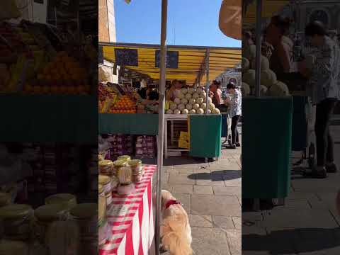 versailles france open food market