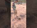 Brick kiln fire tea making-amazing method #reels #viral #skills #shorts