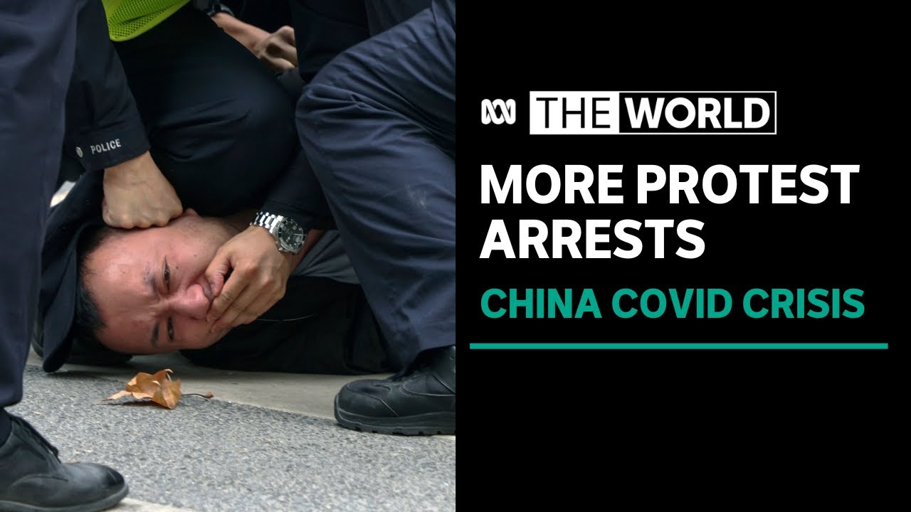 Artist applauds Chinese protesters amid biggest anti-government protests in decades | The World