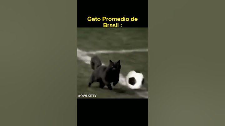 #shorts GATO PROMEDIO DE BRASIL 🤑