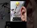 موعد مع الفنانة ناموسة