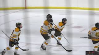 Long Beach Lightning vs. Great Neck Bruins