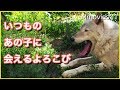 台風・地震・停電で5日間休園した円山動物園　節電しながら開園スタート