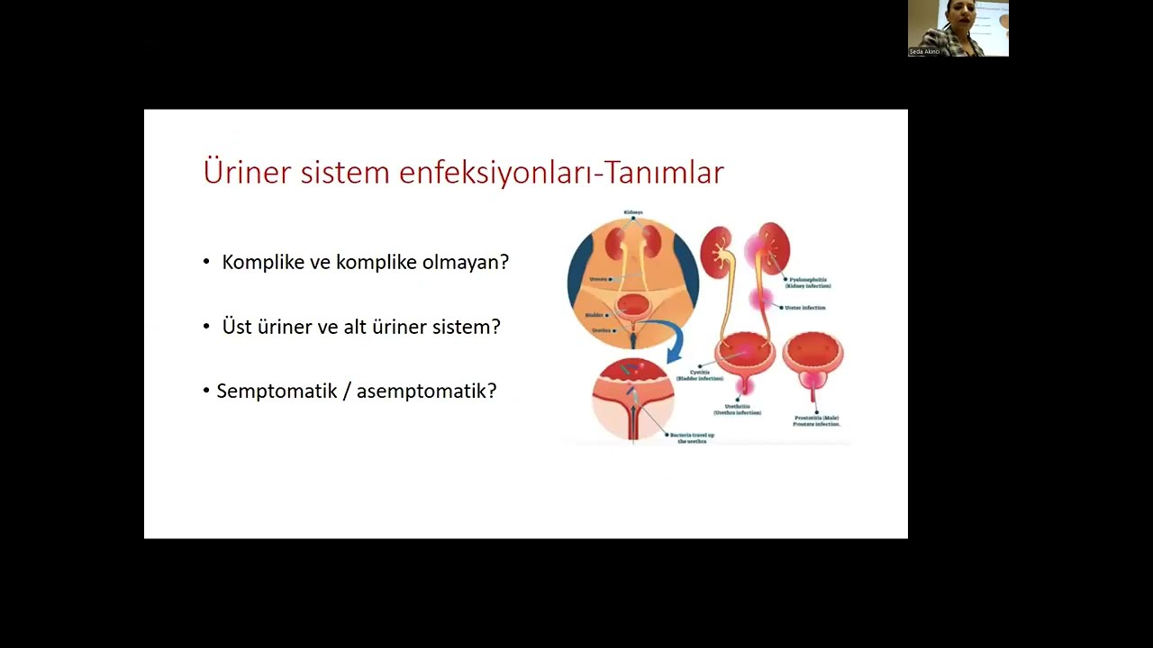 Doç. Dr. Gülçin Telli Dizman - 