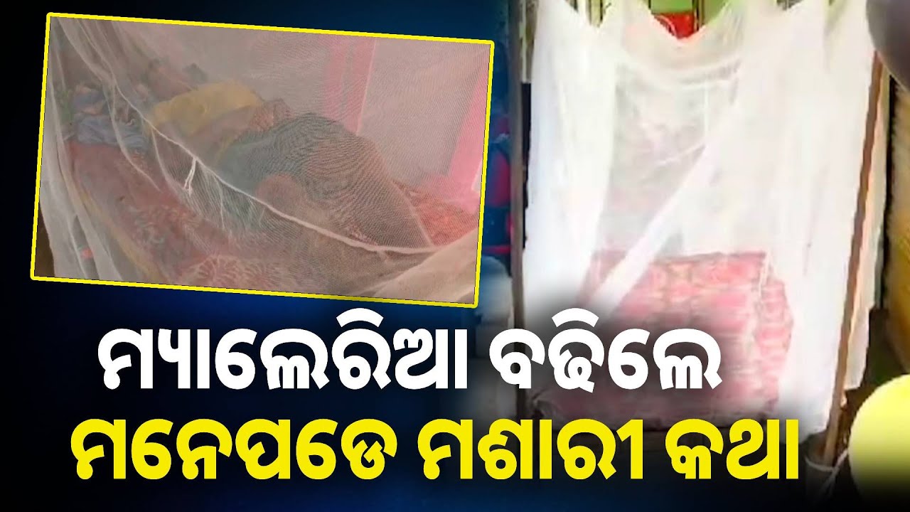 ଲଗାତାର ଦ୍ୱିତୀୟ ବର୍ଷ ଲାଗି ମ୍ୟାଲେରିଆ ସଂକ୍ରମଣରେ ଦେଶର ଶୀର୍ଷ ସ୍ଥାନରେ ଓଡ଼ିଶା ! || Knews odisha