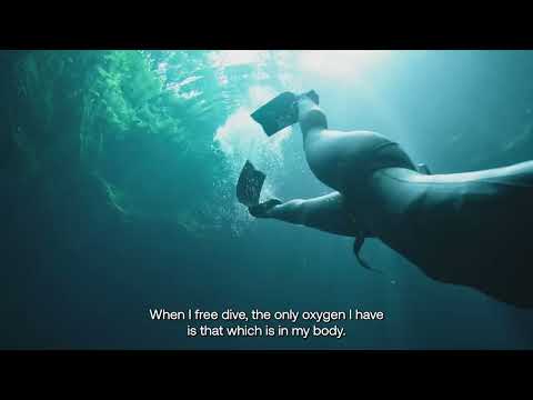 Yucatán in One Breath - Yucatán in One Breath