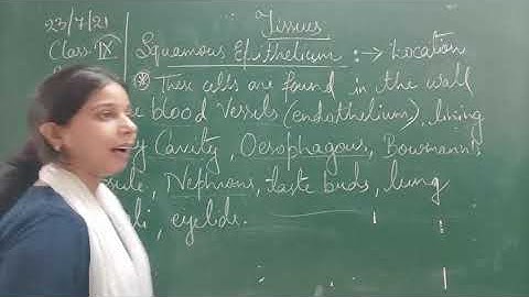 Class IX Science 23 07 2021 by Ms Mridulata Upadhyay Tissues