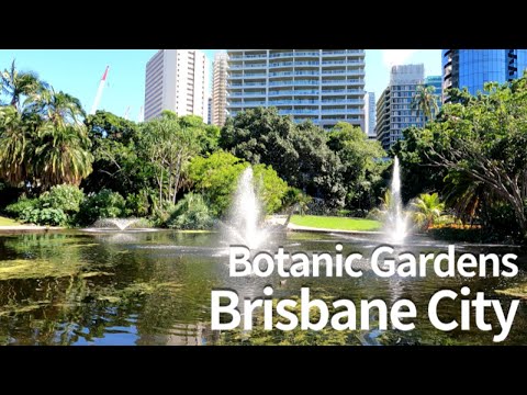 Video: City Botanic Gardens Brisbane (City Botanic Gardens) beskrywing en foto's - Australië: Brisbane en die sonskynkus