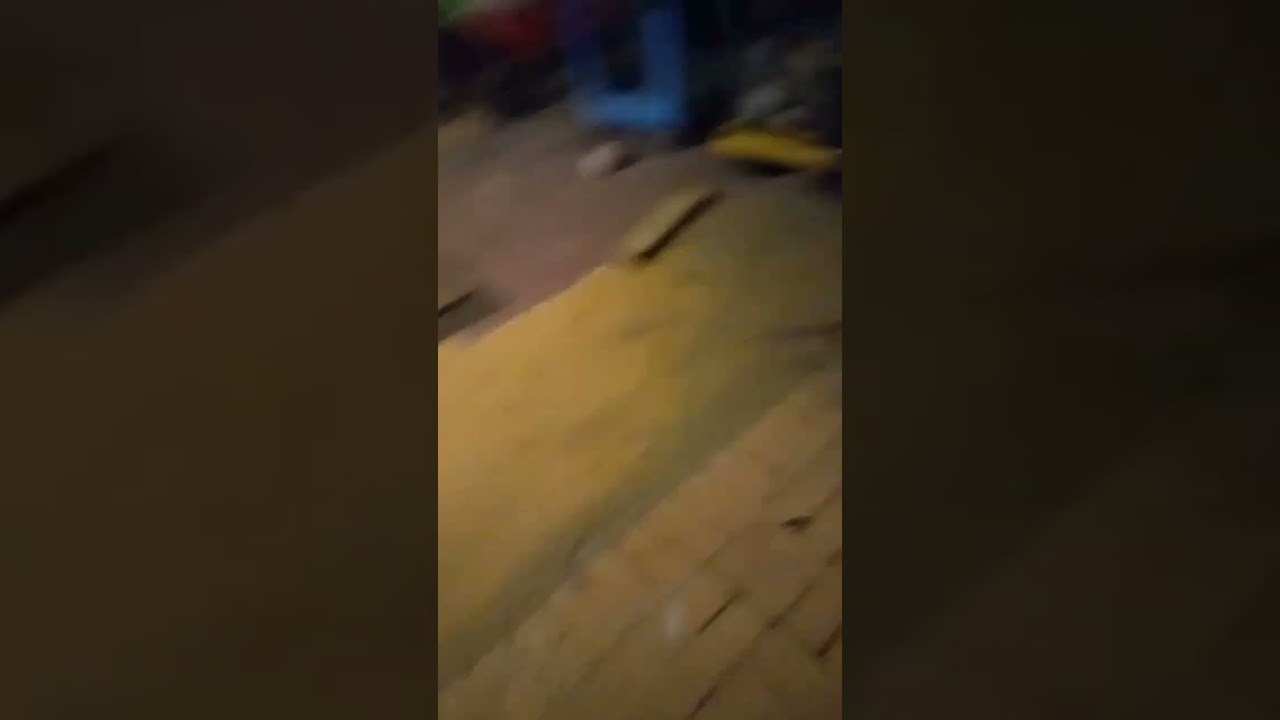 Cullen The Boxador 🐶 ♥  