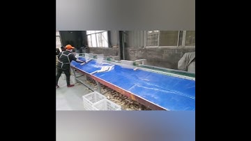 optimizing cross cut saw    3