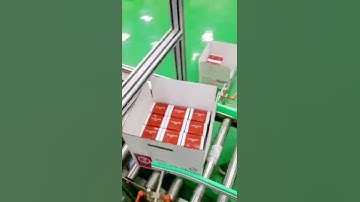 Full Automatic  Side Load Case Packer For box|YUPACK