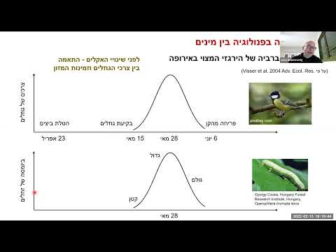 וִידֵאוֹ: כיצד מנוהלים חורשות נשירים?