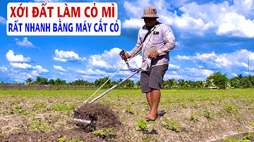 Xới Đất Làm Cỏ Mì Bằng Máy Cắt Cỏ Giúp Cây Mì Tơ Phát Triển Rất Nhanh, Thiện Vũ TV