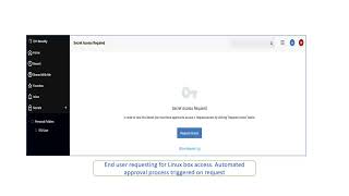 Request Approval Process in IBM Security Verify Privilege Vault