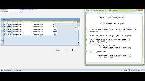 Open Item Management In SAP FICO
