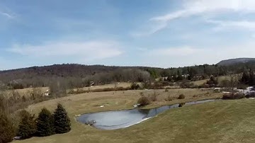 Hoverthings Flip FPV Pro Fighting with Tree