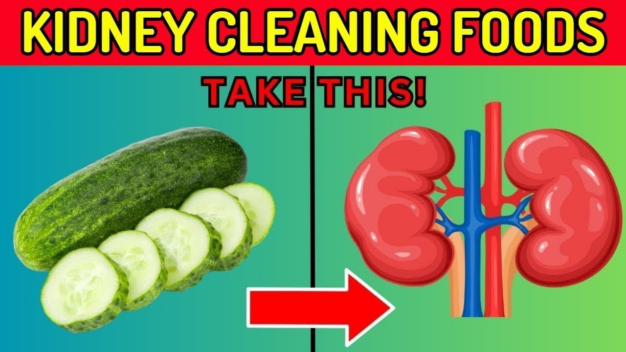Repair Your Kidneys With These foods - YouTube