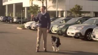 Subaru Dealership Mesquite, TX | Subaru Dealer Mesquite, Texas