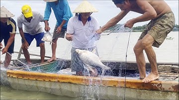 Lưới trầm Tân Châu mùa nước bạc - Sông Nước Cửu Long - Nguyễn Hùng