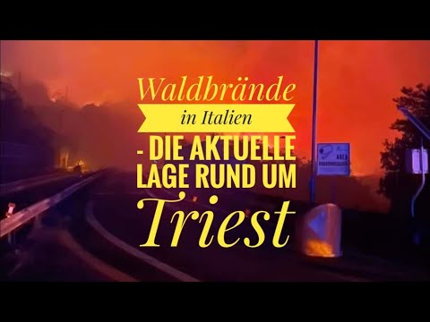 Waldbrände in Italien - die aktuelle Lage rund um Triest