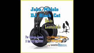 Dj Black Cat Sa Mp   Usuku Lamalobolo Ft Jabu Mhlolo