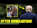 These Artists Are HUMILIATING MAGA And It's Incredible