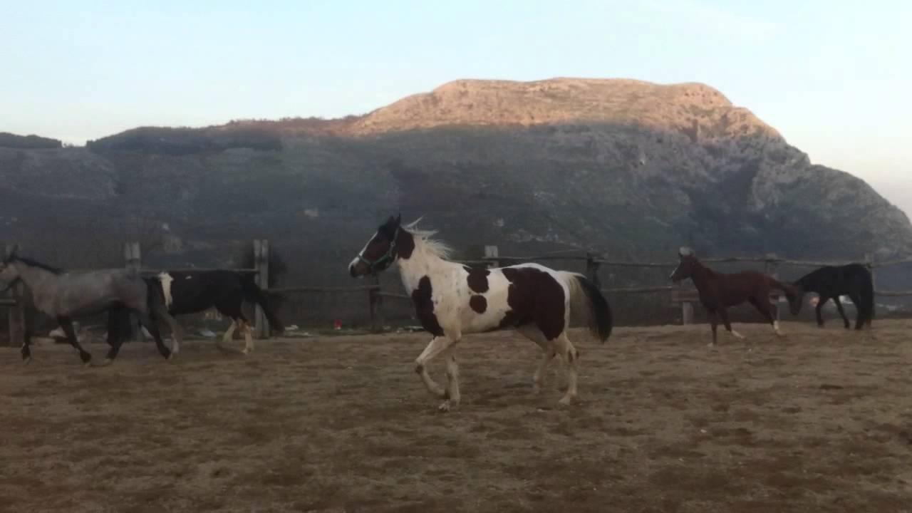 Maneggio la Dormiente