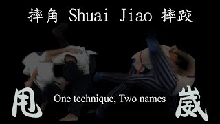 摔角 Shuai Jiao, 1 Technique 2 Names: 崴 Wǎi \u0026 甩 Shuǎi —ft. Emanuele Papa