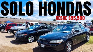 Honda Civic and Accord for Sale Guadalajara Auto Fair