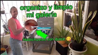 Limpieza y organización de mi galería/habichuelas 🫘😋 con dulce 😋 by Odalis Rosario  y más  305 views 1 month ago 21 minutes