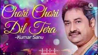 Chori Chori Dill Tera Churayenge(hindi ❤️song)