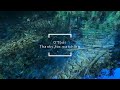 『光る波紋』ストレスを浄化しセルリアンブルーの波紋に癒される