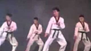 Korean Tigers show.avi