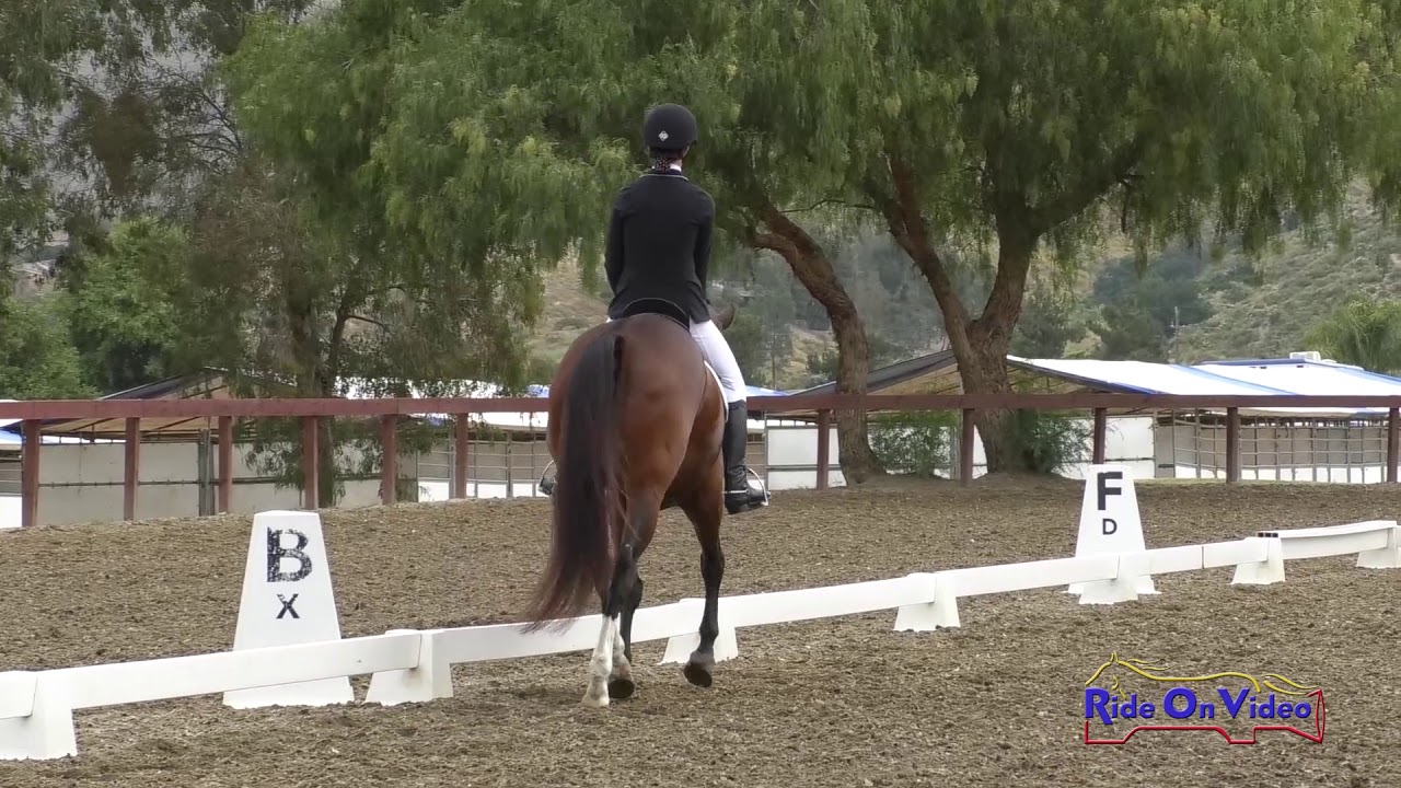 downs sims 158D Hailey Johnson on Amaze Me Training Challenge Dressage Galway Downs May 2019