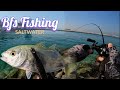 BFS Saltwater Fishing Ep2 : Daiwa Alphas Air Tw + Yamaga Blanks 53b