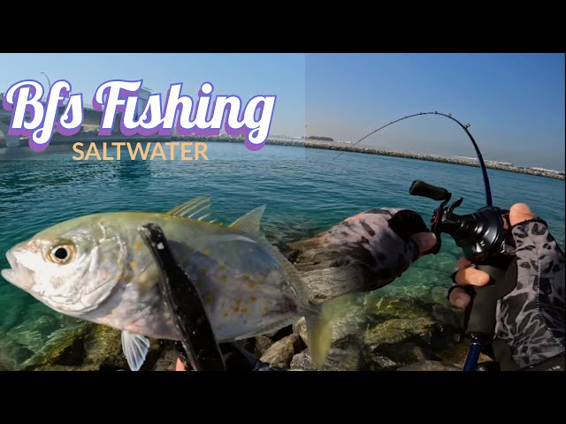 BFS Saltwater Fishing Ep2 : Daiwa Alphas Air Tw + Yamaga Blanks